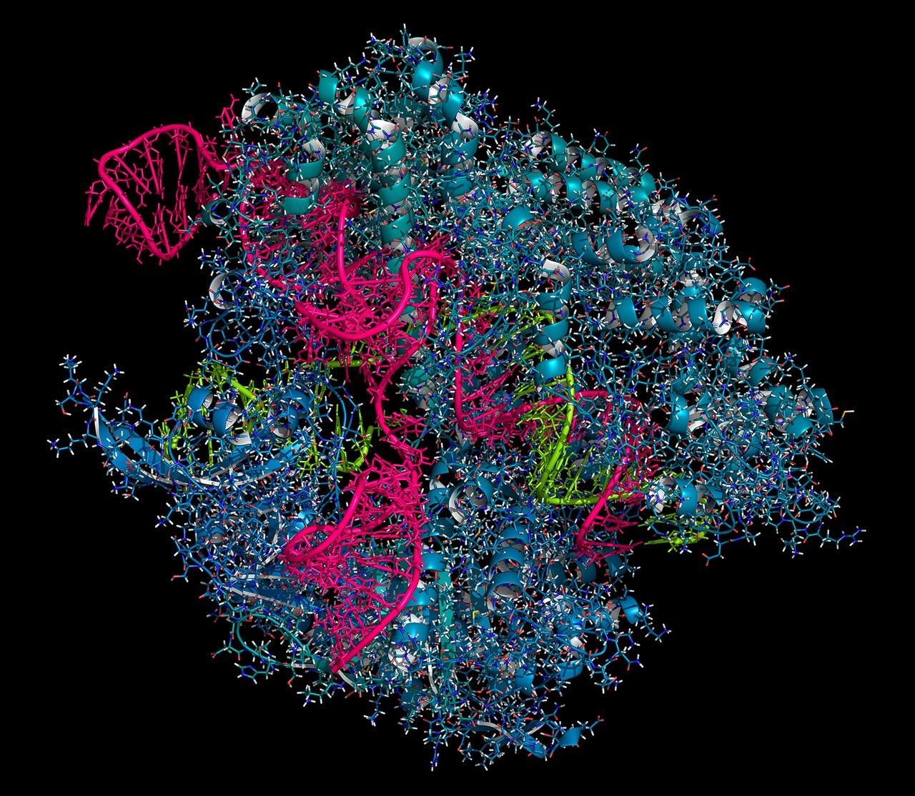 crispr diagnostic tools sherlock