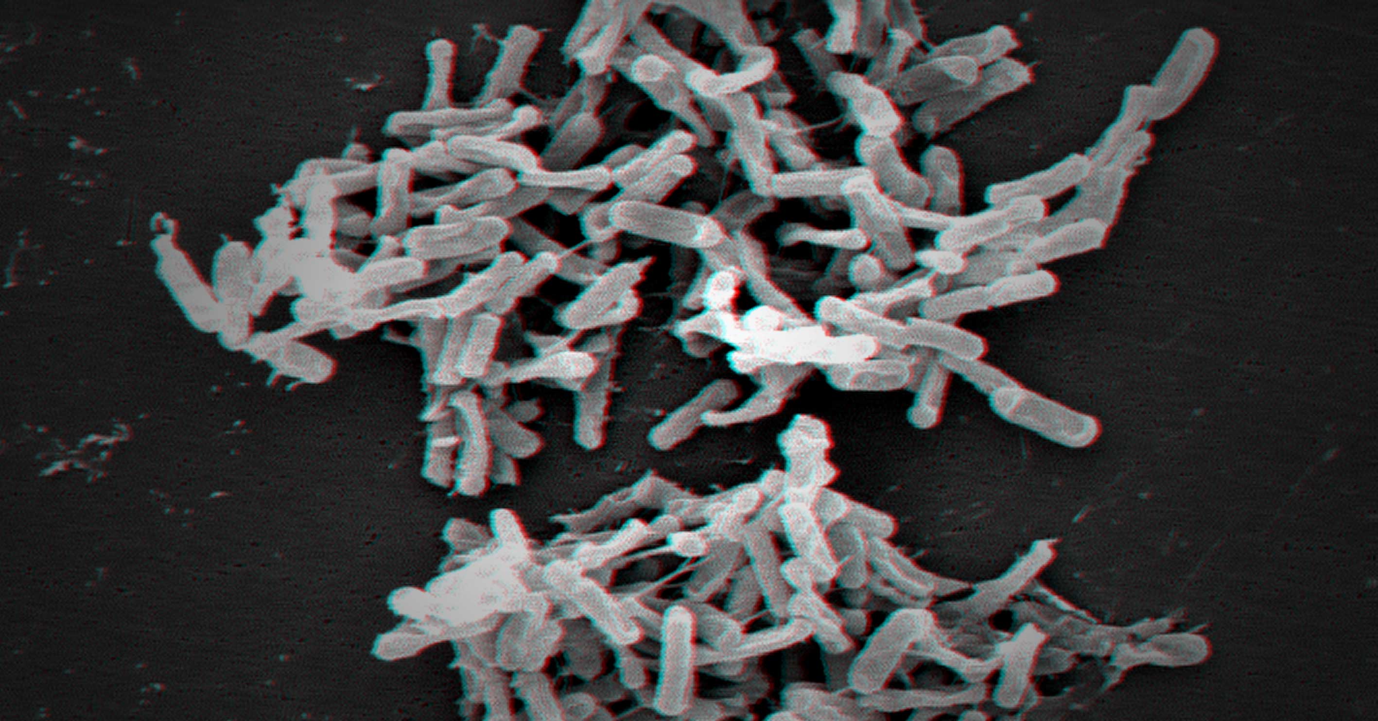 infection algorithm healthcare