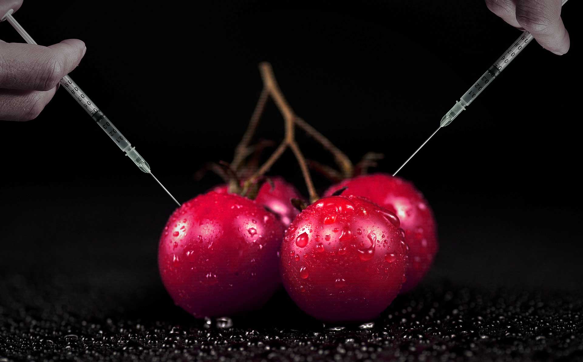 genetically modified organisms gmo russia