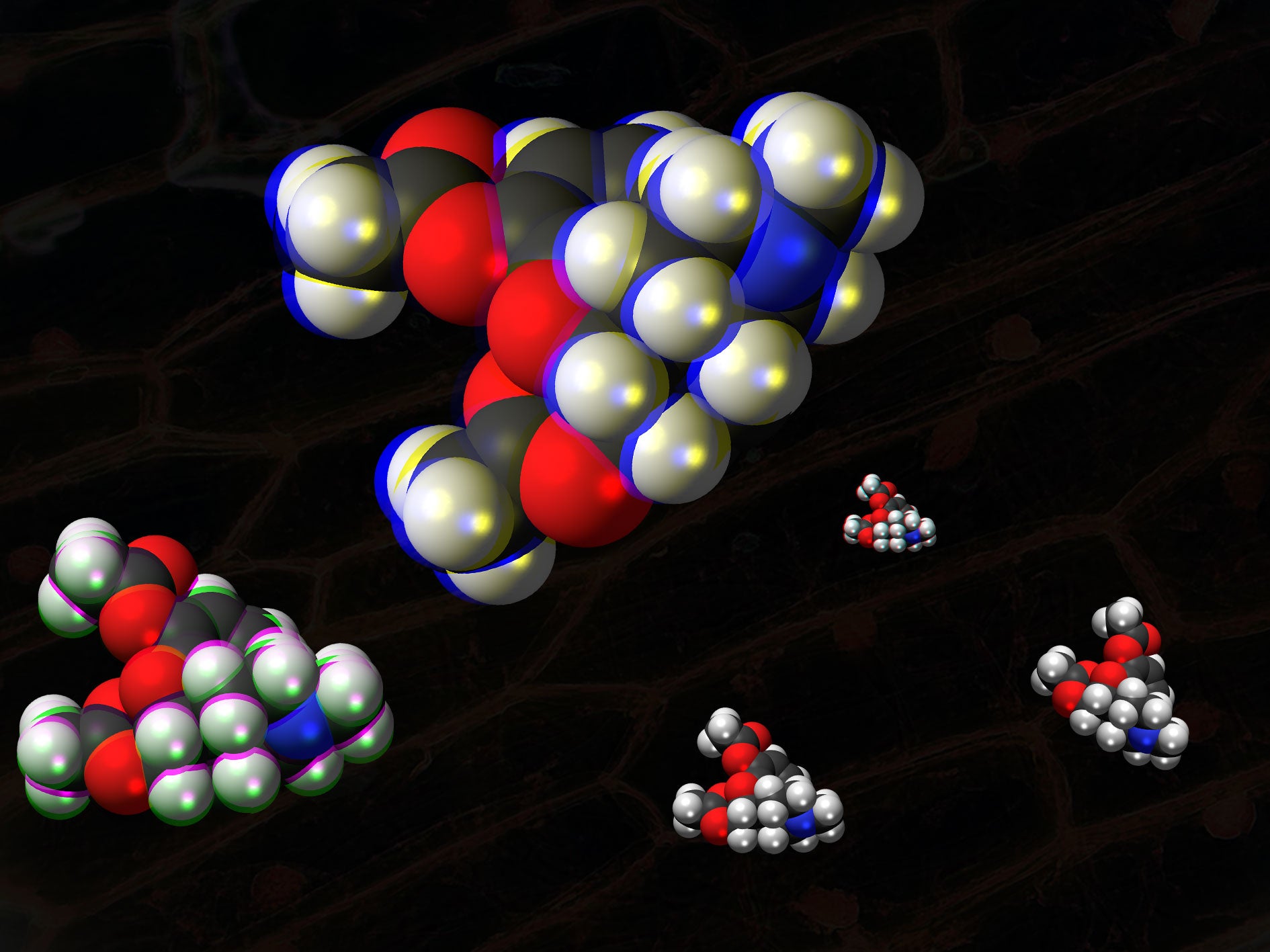 medicine drug addiction opioid epdemic