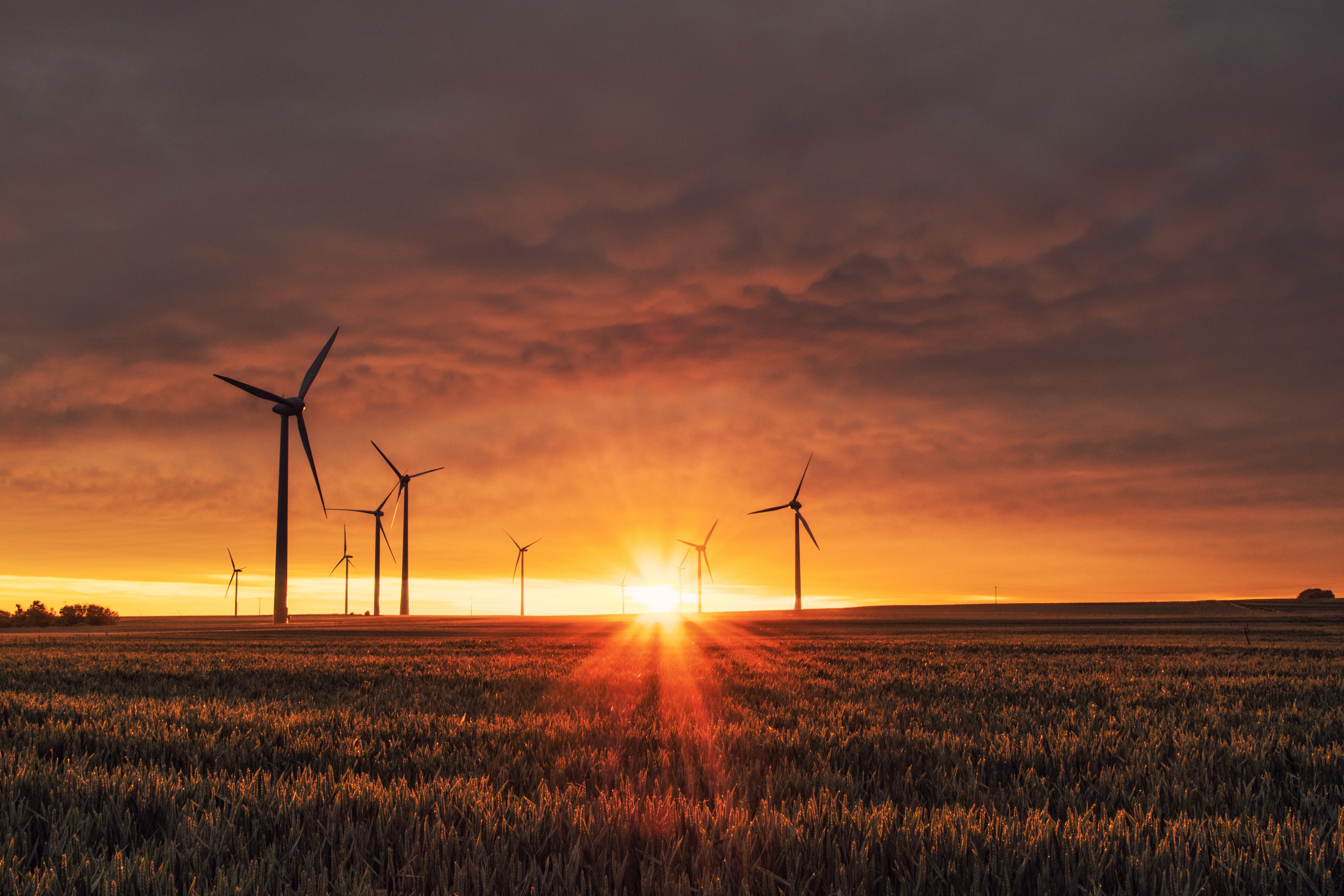 renewables scotland