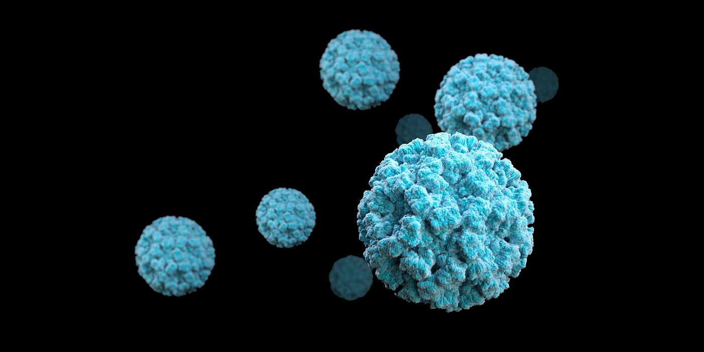norovirus 2018 winter olympics virus