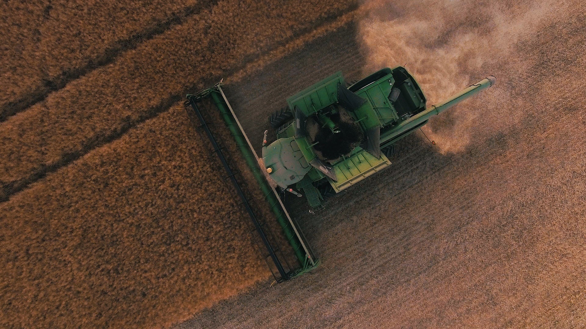 plant science molecular plant canola climate change genetics