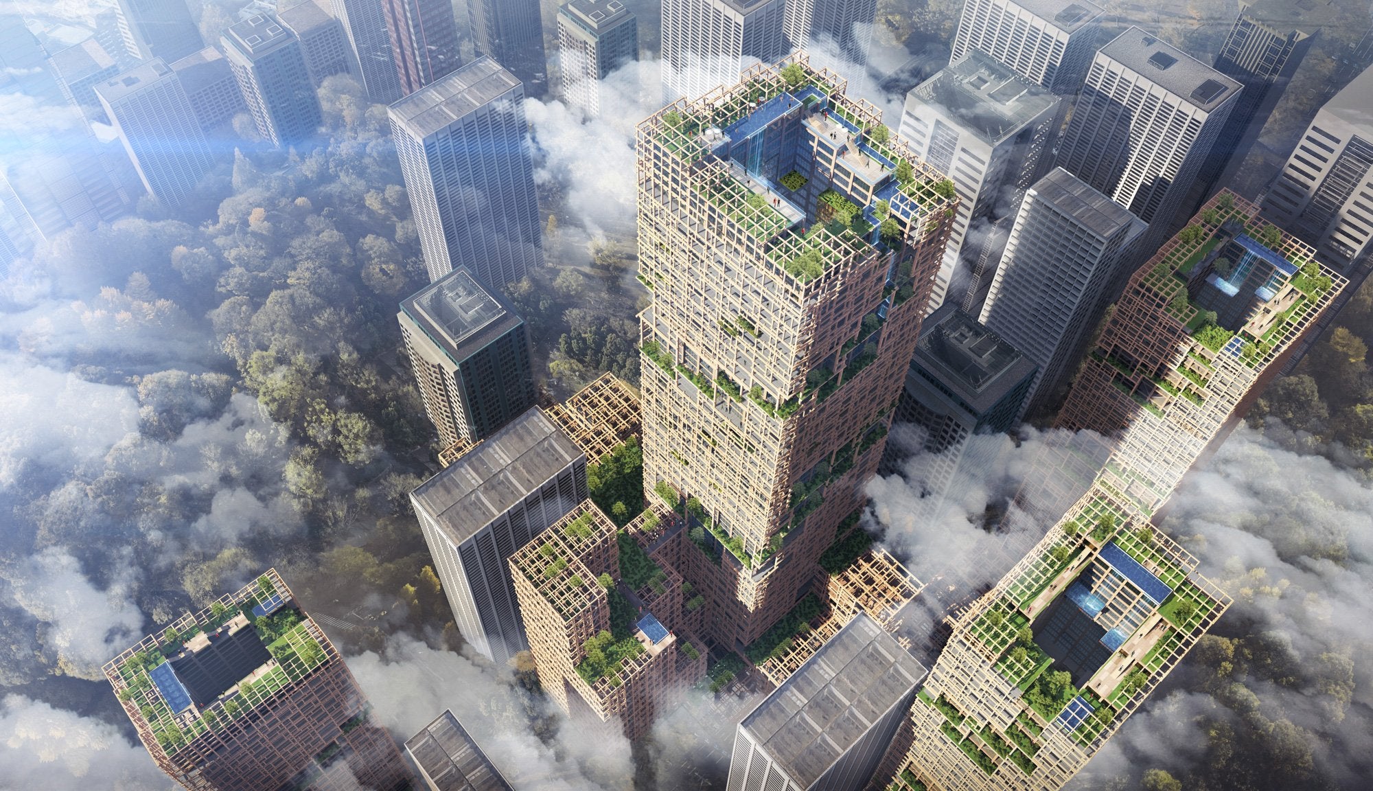architecture wooden buildings w350 project wooden skyscrapers