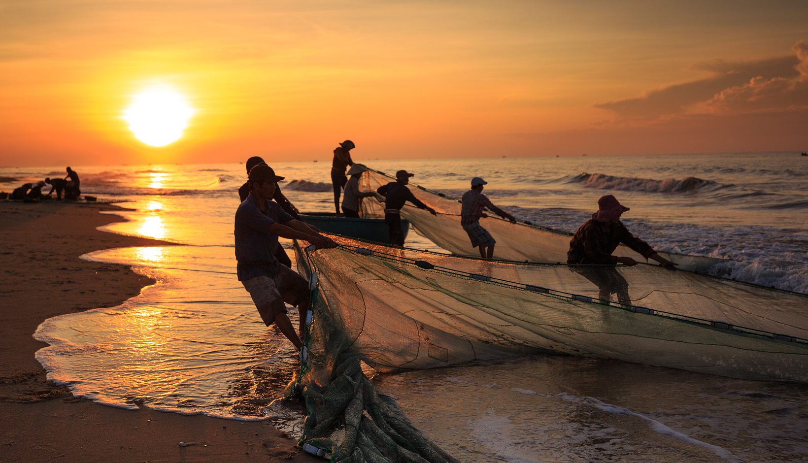 fish catches
