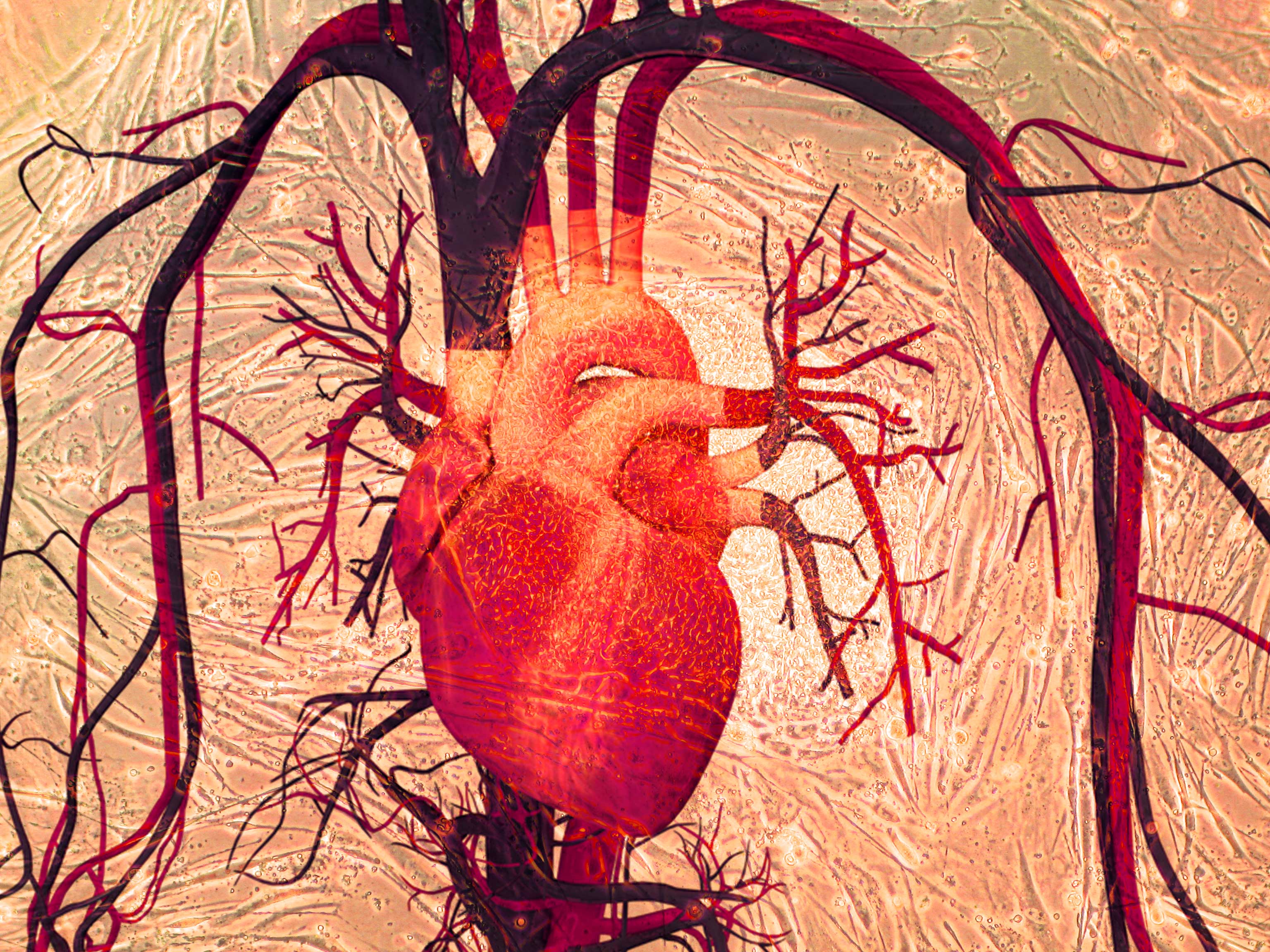 medicine regenerative medicine stem cells