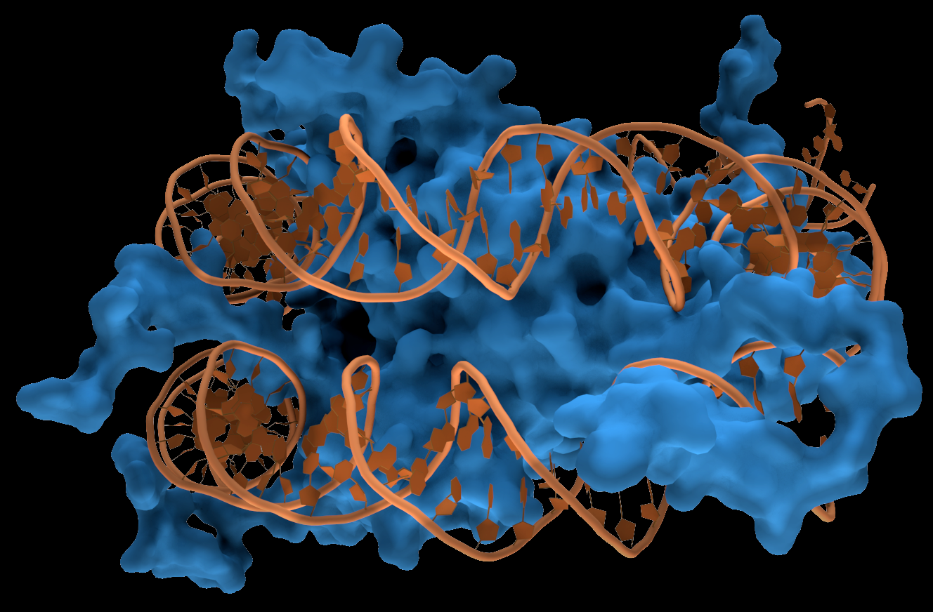 gene editing genetic editing crispr mhax