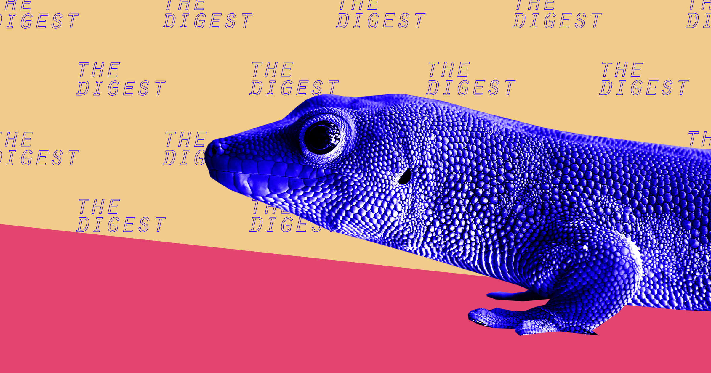 Researchers discover that leopard geckos can regenerate parts of their brain, potentially opening up a new area of research in treating the human brain.