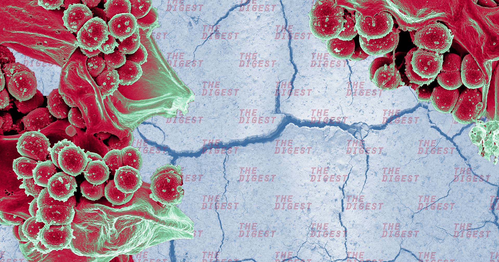 Researchers discover that Oregon blue clay has antibacterial properties that even treatment-resistant bacterias can't withstand.