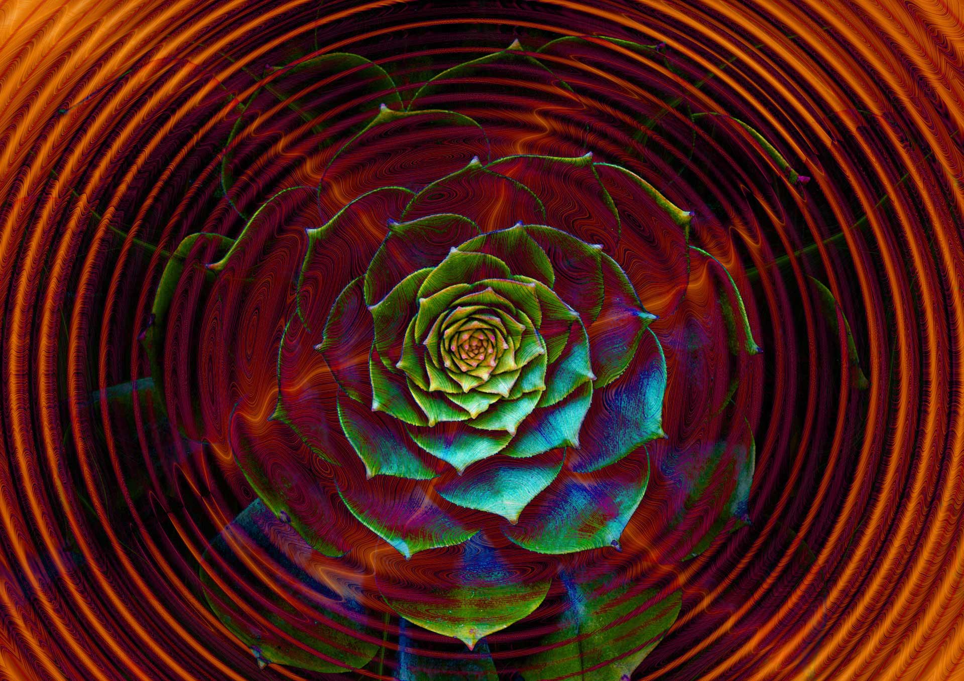 Scientists have undertaken a project to unlock Bioinspired Light-Escalated Chemistry (BioLEC), a new type of science that could help replace fossil fuels.