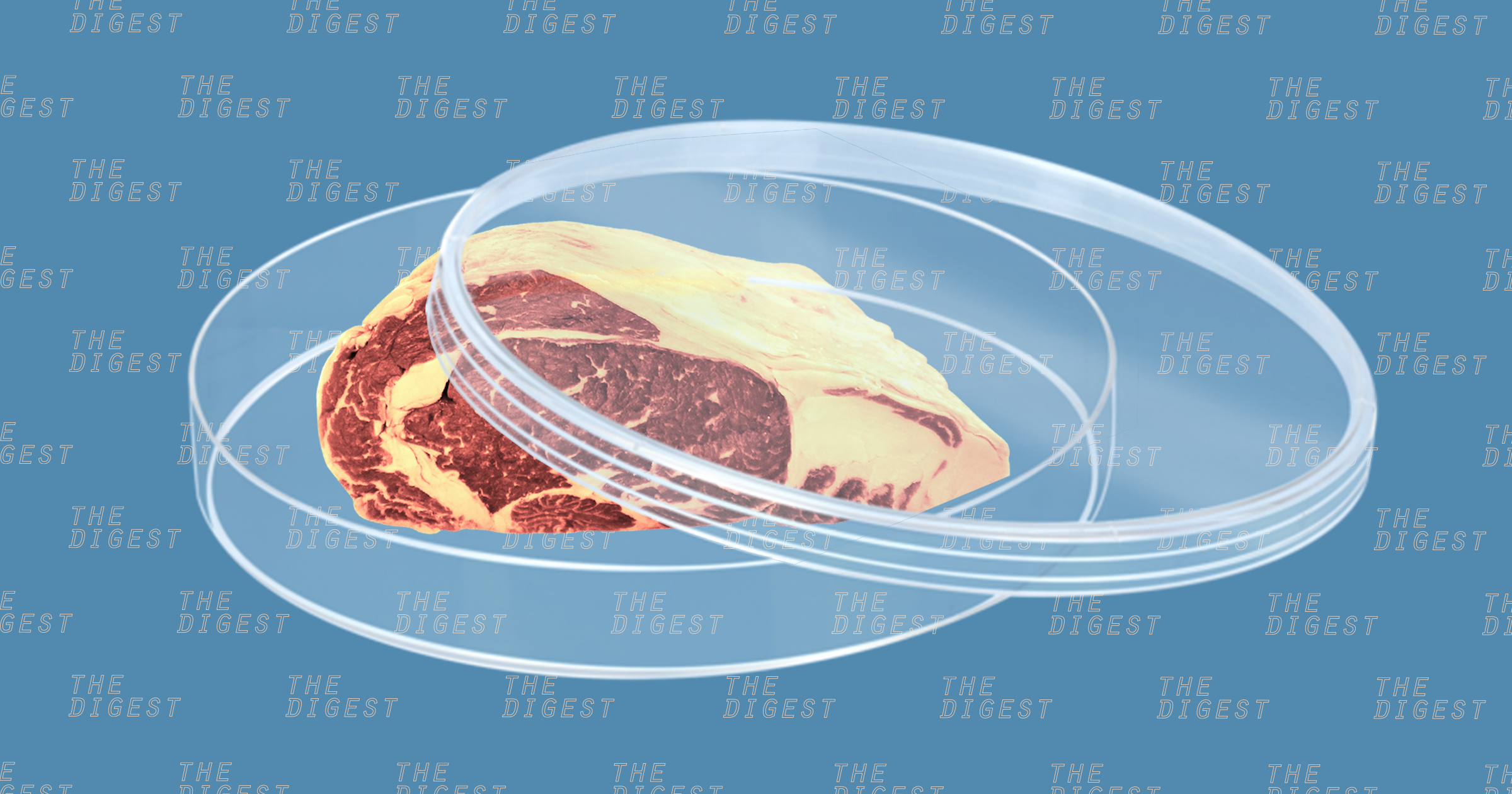 Included in Y Combinator's 2018 batch of companies is the Good Food Institute (GFI), a non-profit focused on accelerating the adoption of clean meat.