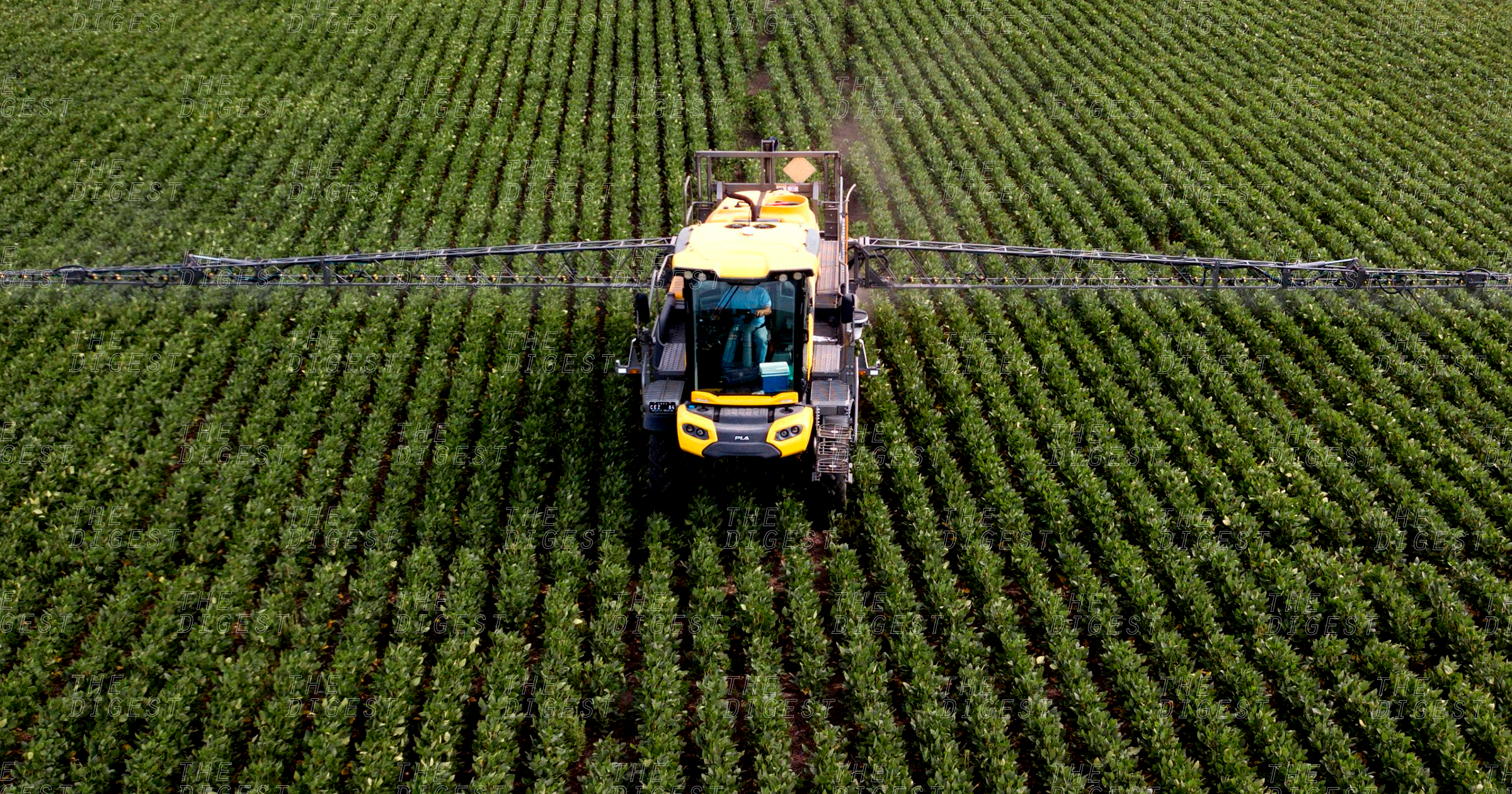 On Friday, a CA court ruled that Monsanto owed a groundskeeper $289 million because its weedkillers containing glyphosate gave the man terminal cancer.
