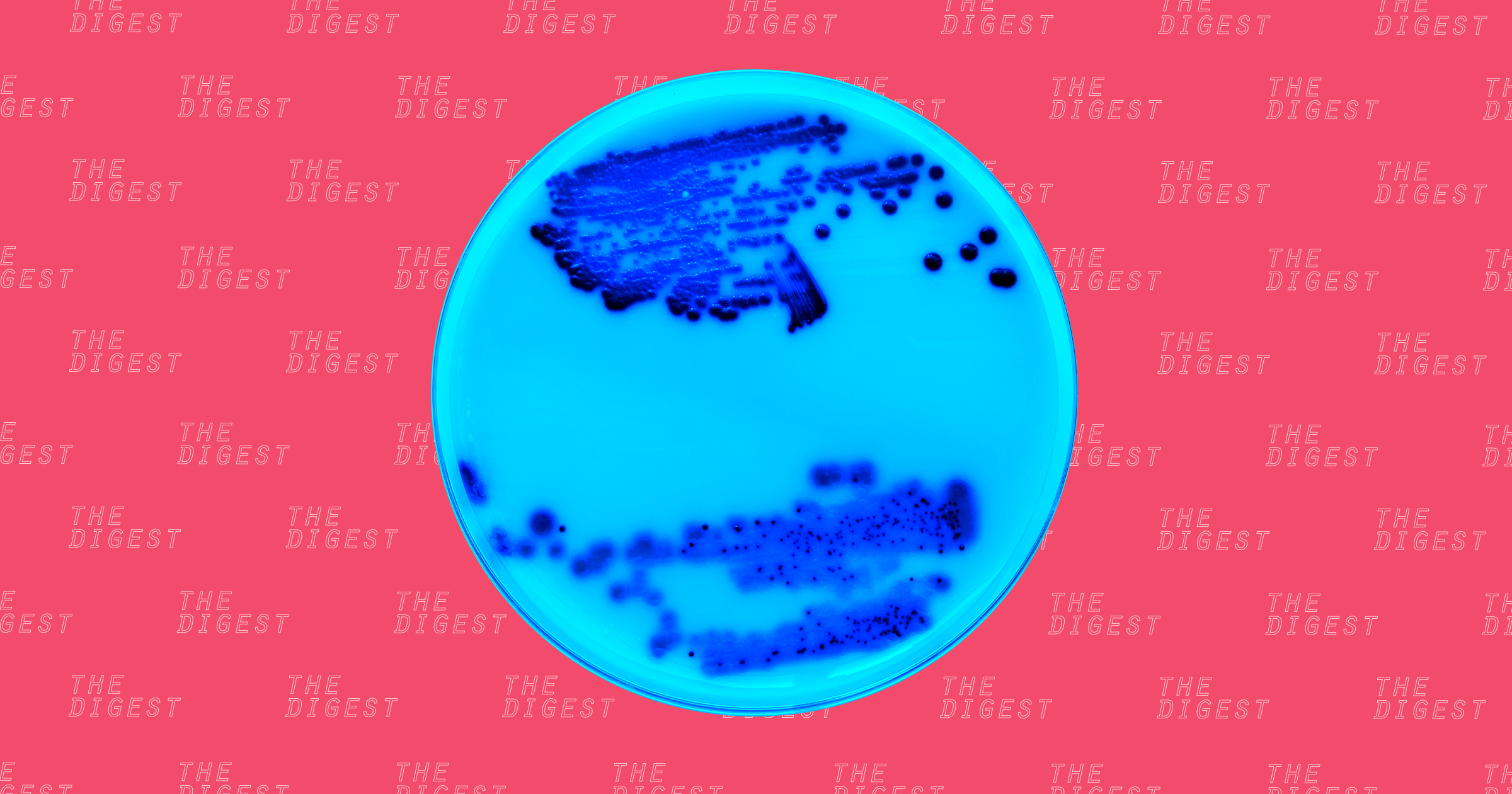 Researchers discover a promising new compound in the hunt for a new antibiotic, and it's something we could synthesize ourselves.