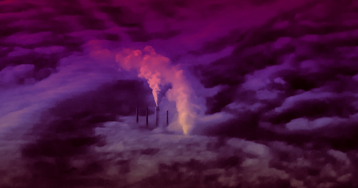 We need to do something to address the problem of air pollution, according to the Director General of the World Health Organization (WHO).