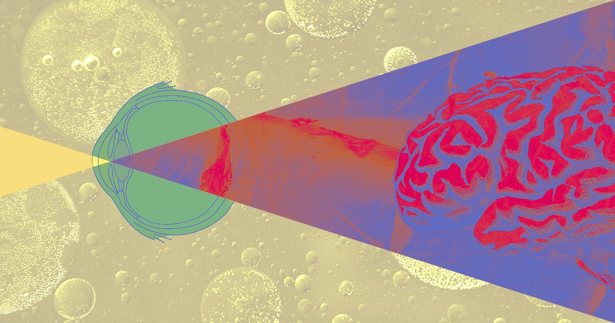 An eye scan that provides detailed images of the retina and blood vessels could help us detect Alzheimer's disease before symptoms appear.