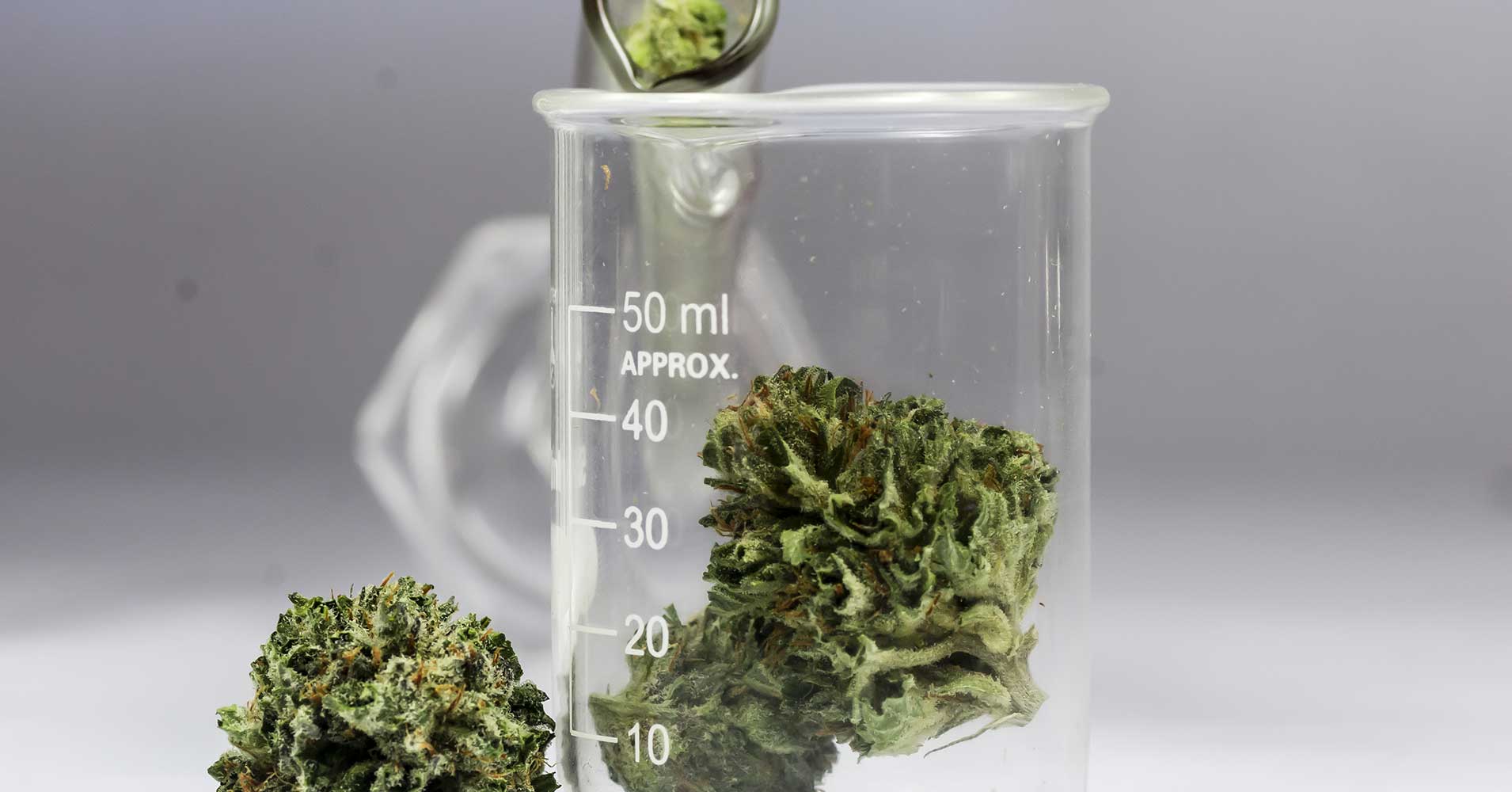 Canada legalizing weed could be an opportunity for medical researchers who believe the cannabis plant could hold the key to promising new treatments.