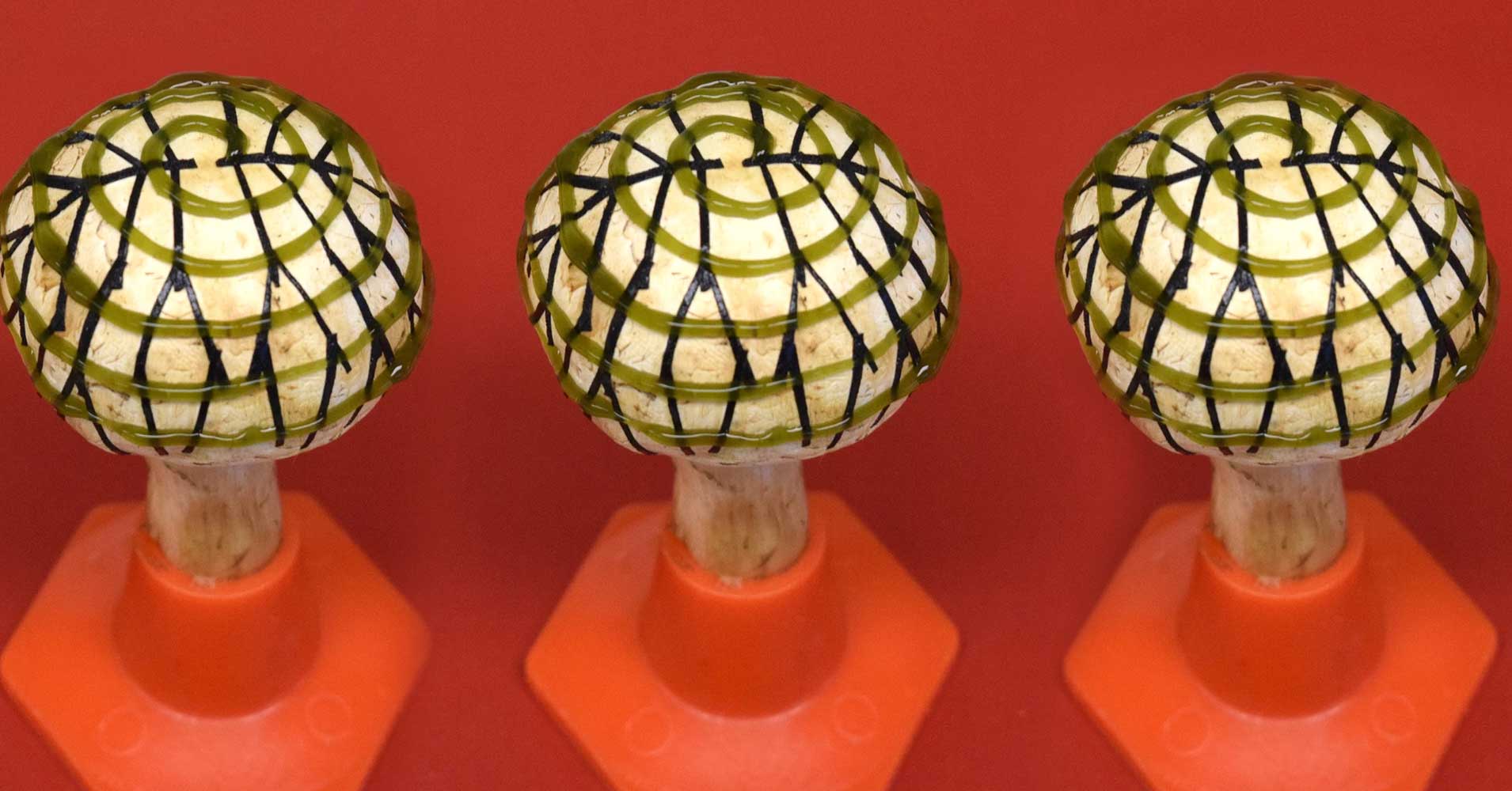 Researchers created bionic mushrooms that could keep electricity-generating cyanobacteria alive longer than other surfaces.