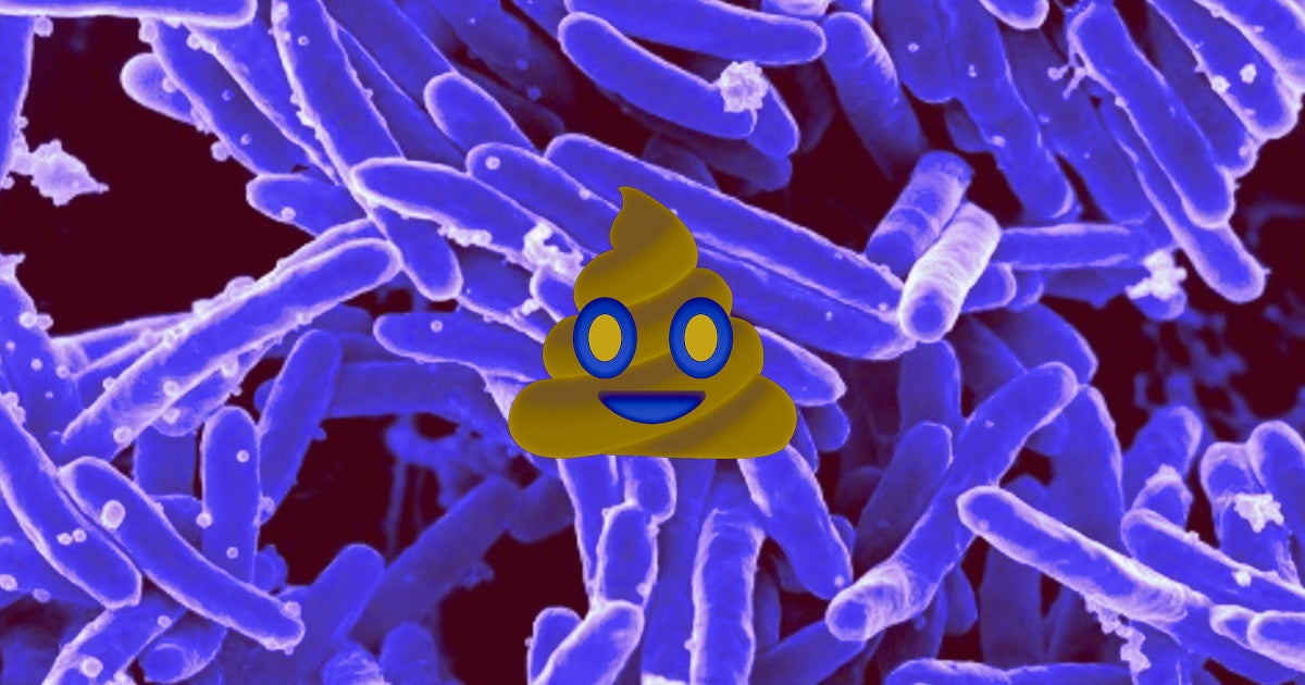 Spanish scientists just let some photosynthetic bacteria go to town on stool samples. They turned it into biofuel and filtered out any greenhouse gases.