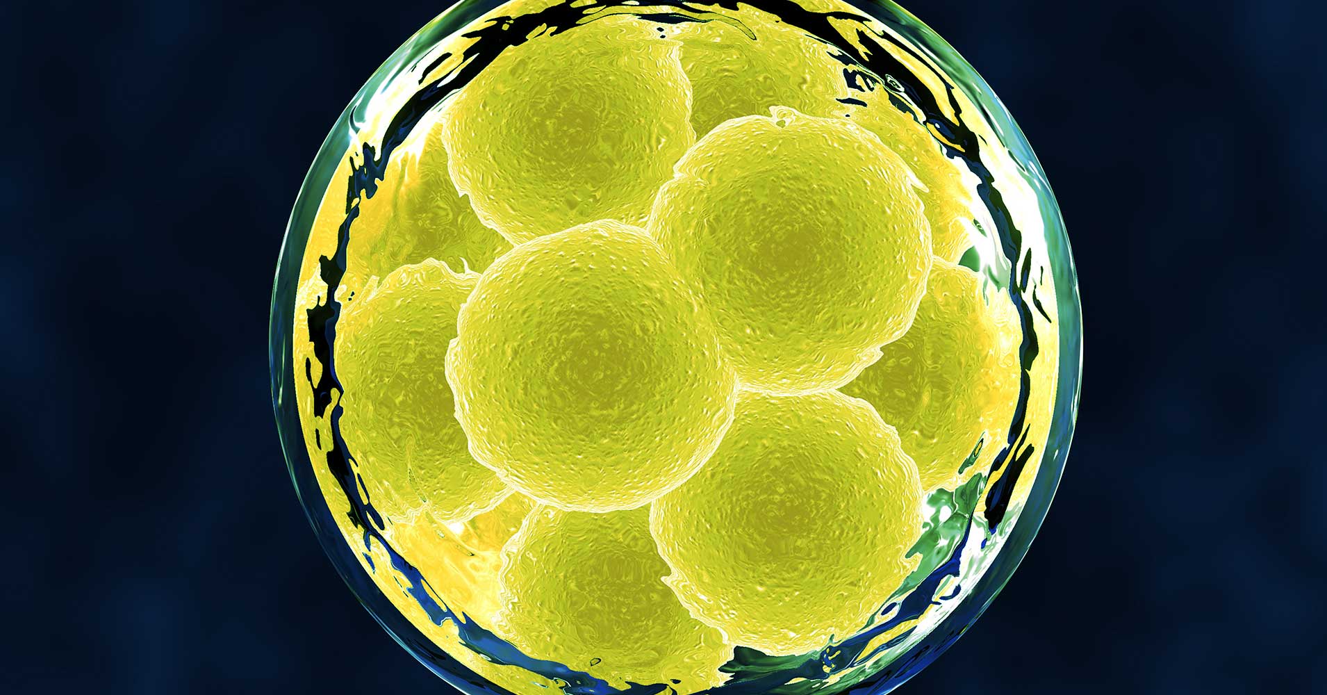 A scientist who claims to have gene-edited babies made his first public appearance since the existence of the babies became public.