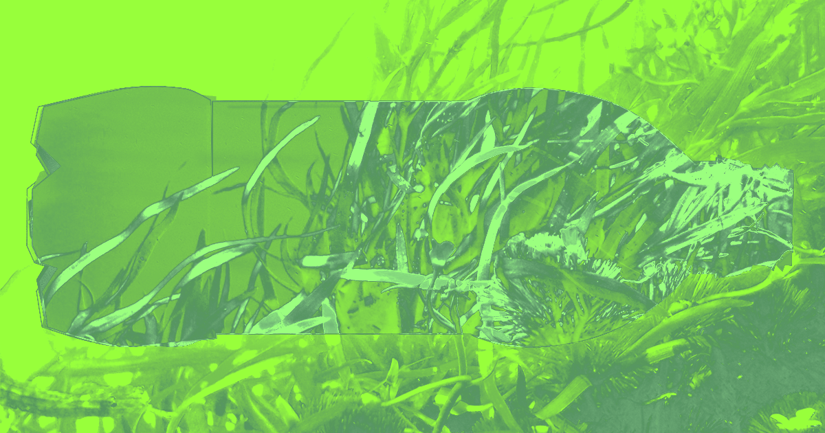 bioplastic