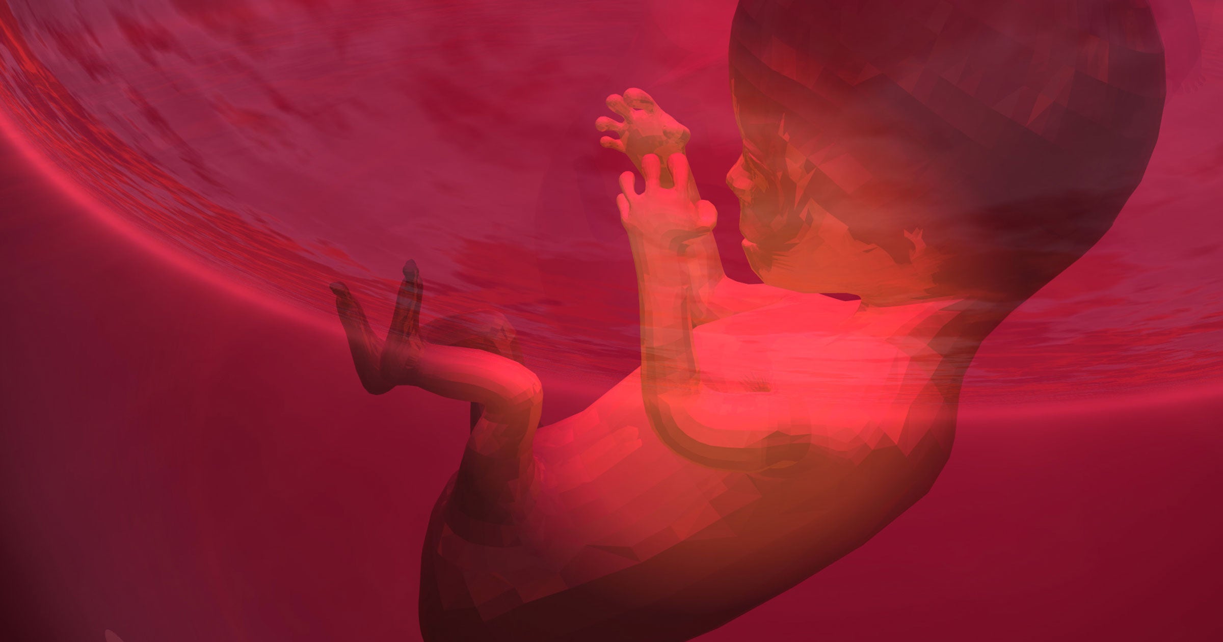 The first lab-grown placenta has remained stable for a year. Doctors hope it can better explain and help prevent first-trimester pregnancy complications.