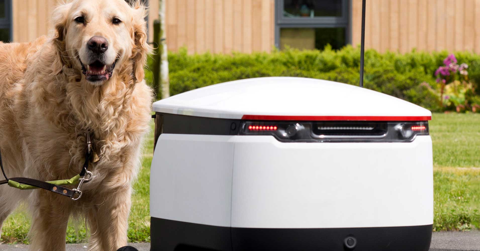 A pilot study designed to see how guide dogs would react to delivery robots revealed the animals aren't bothered by seeing the bots on the streets.