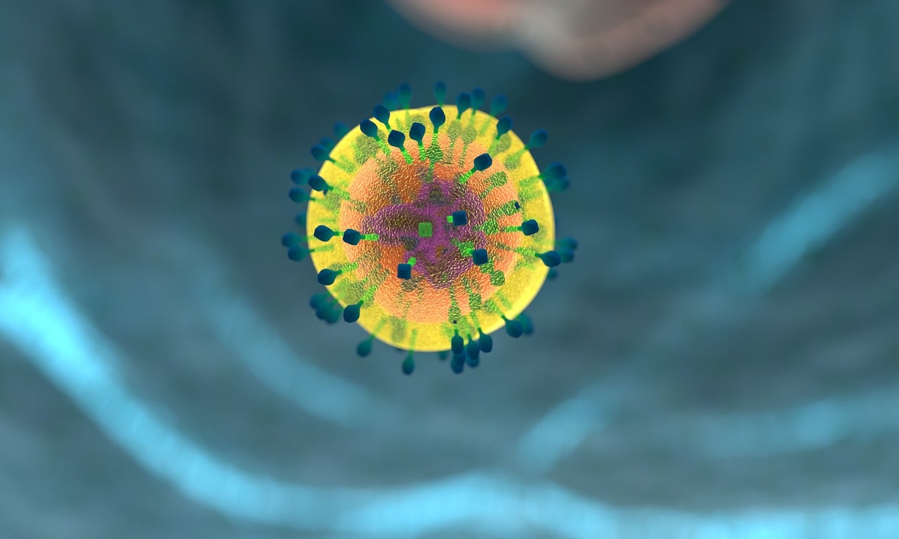 Scientists turned skin cells into immune cells