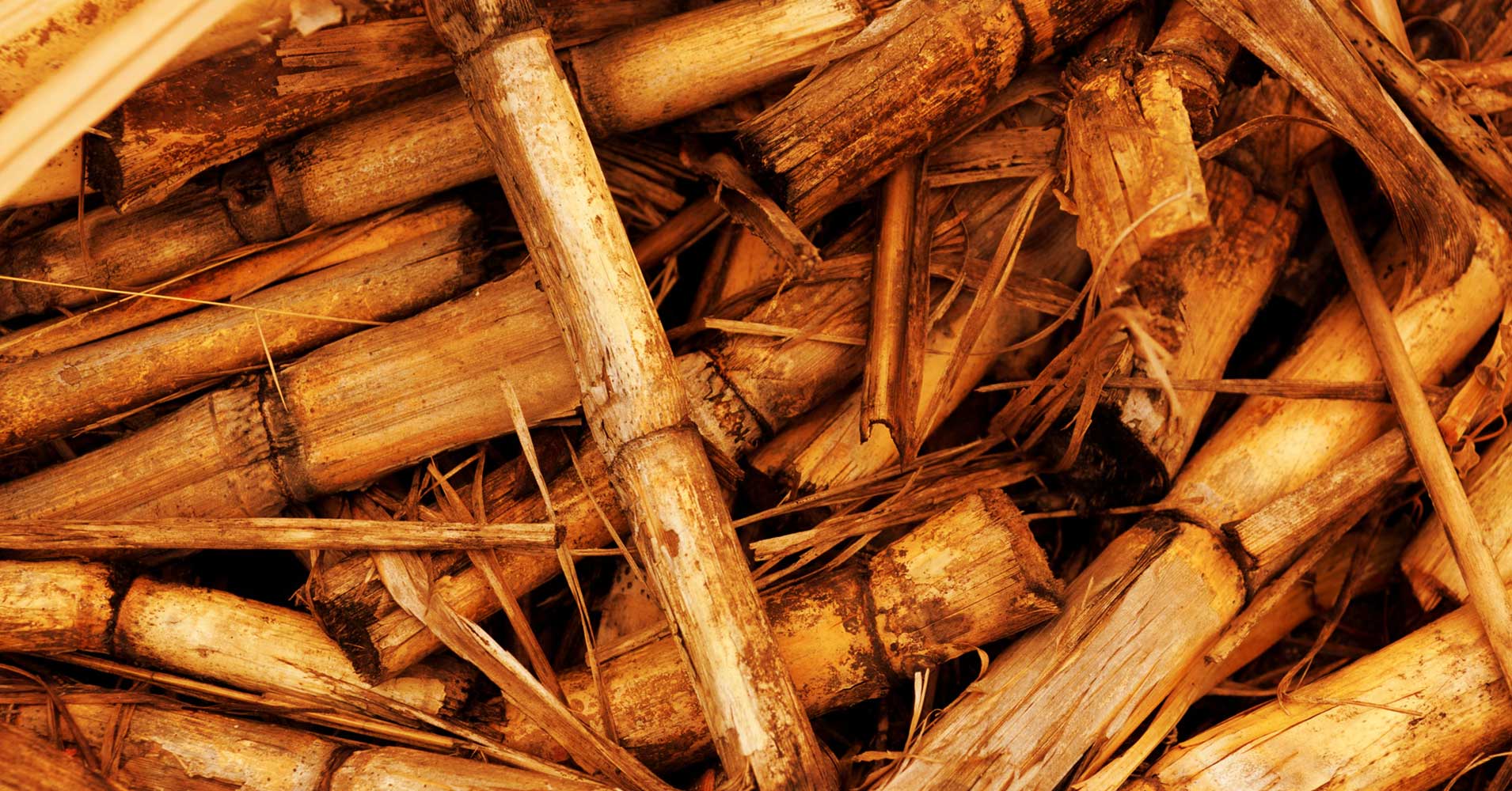 The island nation of Mauritius is now generating 14 percent of its electricity by burning sugarcane byproducts. Here's why it matters.
