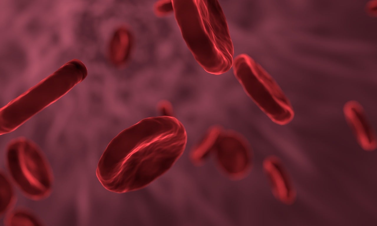 3d printed glucose monitors could make health monitoring simpler
