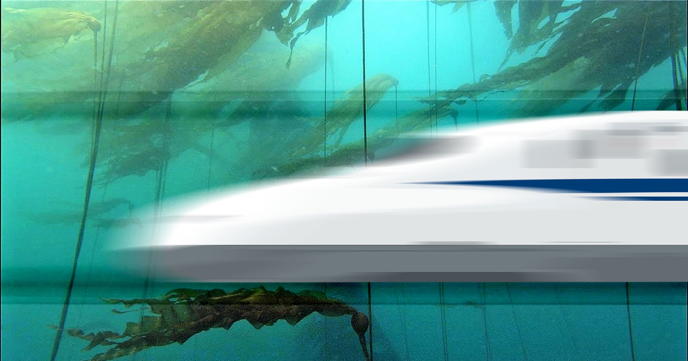 The UAE just proposed an underwater bullet train to connect the country to India, but the government isn't sure it will work.