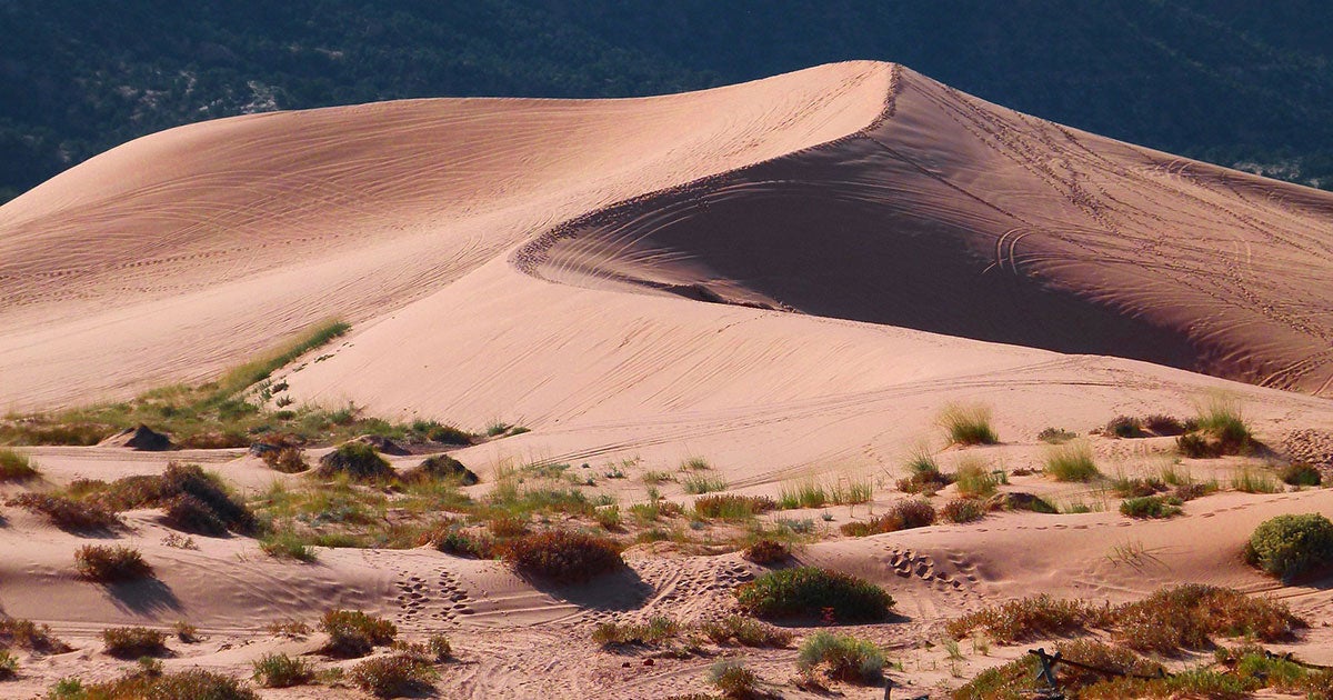 New research shines a light on the importance of soil moisture in plants' ability to trap CO2 — and extreme weather events could hinder that ability.