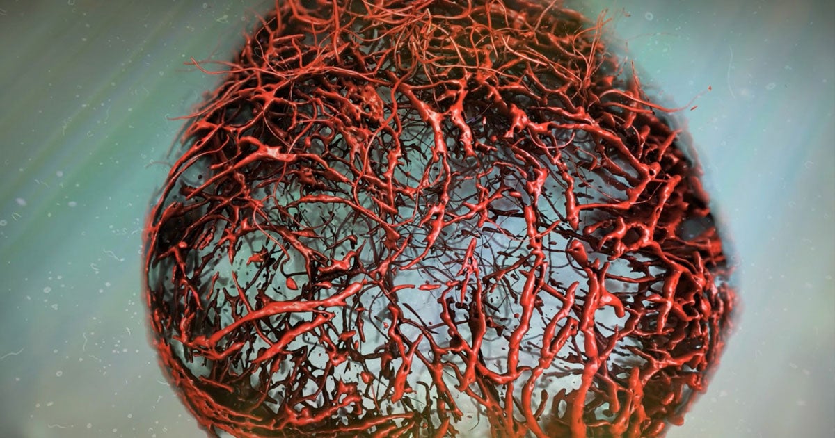 The world's first lab-grown blood vessels have already yielded one new lead in the hunt for better diabetes treatments and more could be on the way.