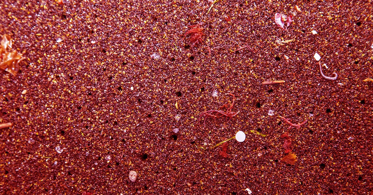 The EU is considering a microplastics ban that would prevent 40,000 tons of the tiny particles from entering the environment every year.