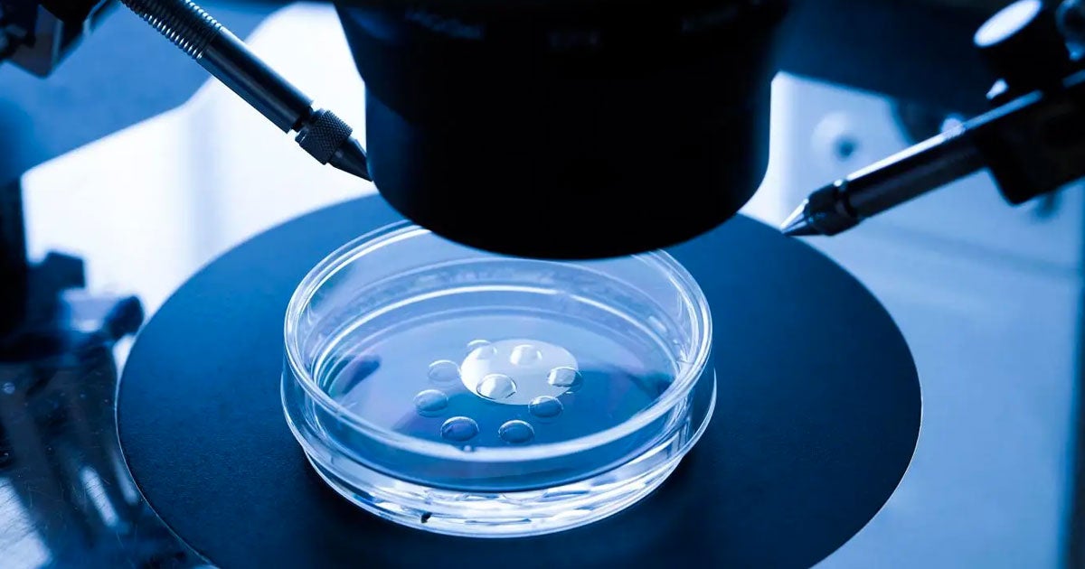 For the first time, a woman who received a uterus transplant through robot-assisted surgery is pregnant and due to give birth in a few months.