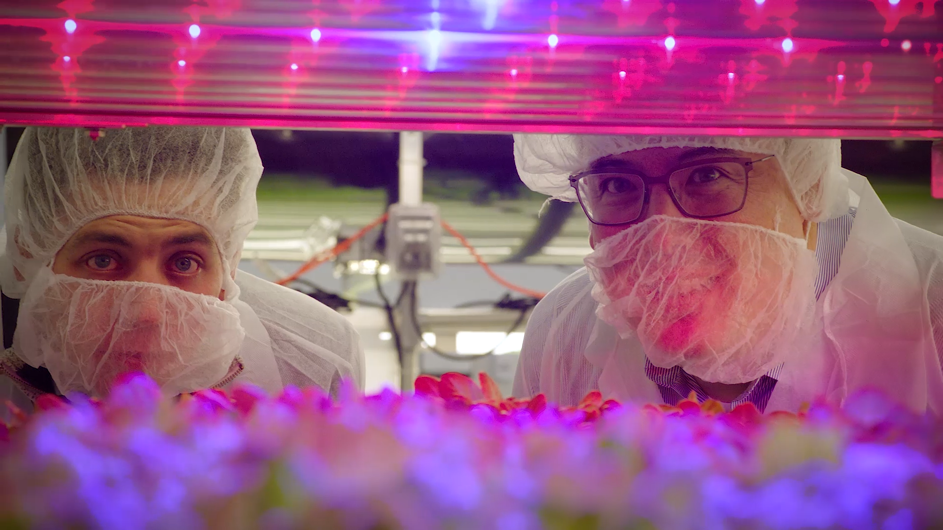 The future of farming may take place vertically indoors