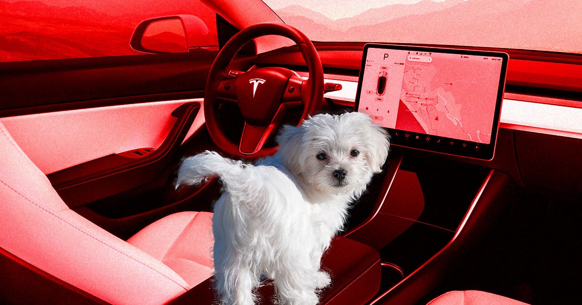 Next week, Tesla will add "Dog Mode" and "Sentry Mode" to its vehicles to protect owner's furry companions and cars, respectively.