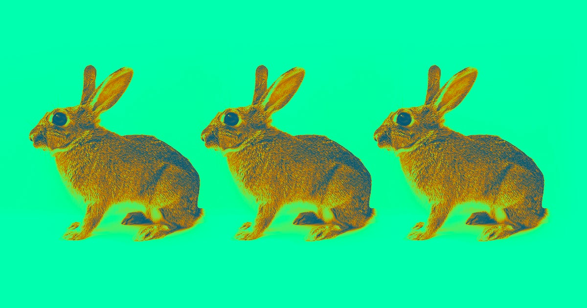 Researchers have proven that we can use CRISPR to create gene drives for mice, opening up a wealth of new possibilities for the technology.