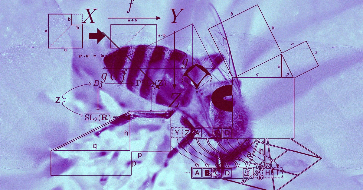 Researchers taught honeybees math skills, revealing that the animals' tiny brains are more capable than we previously thought.