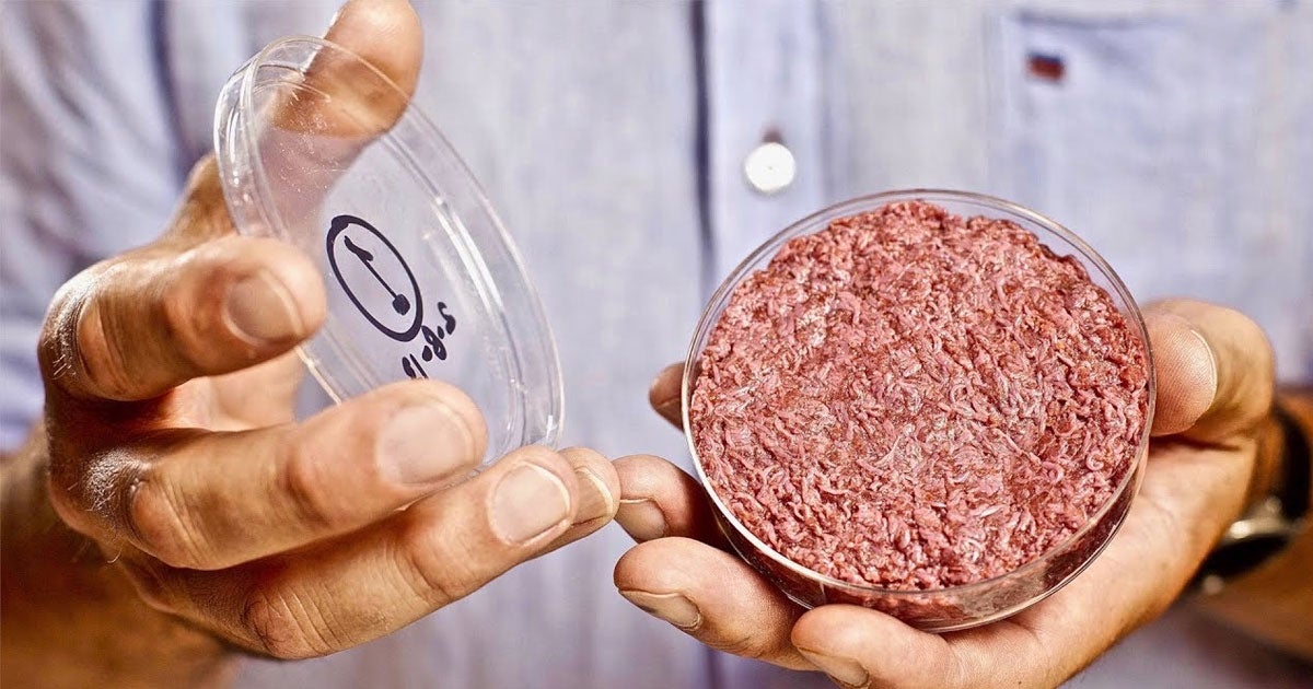The benefits of lab-grown meat will depend on scientists' ability to produce it sustainably, and right now, we don't know if that's even possible.
