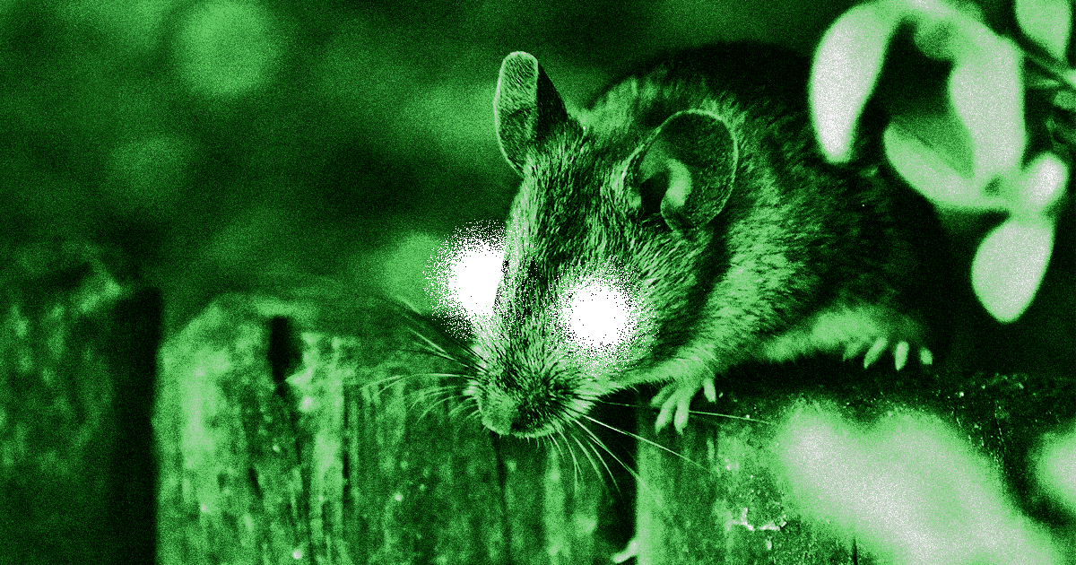 Chinese scientists gave mice the ability to see near-infrared light by injecting special nanoparticles into their retinas.