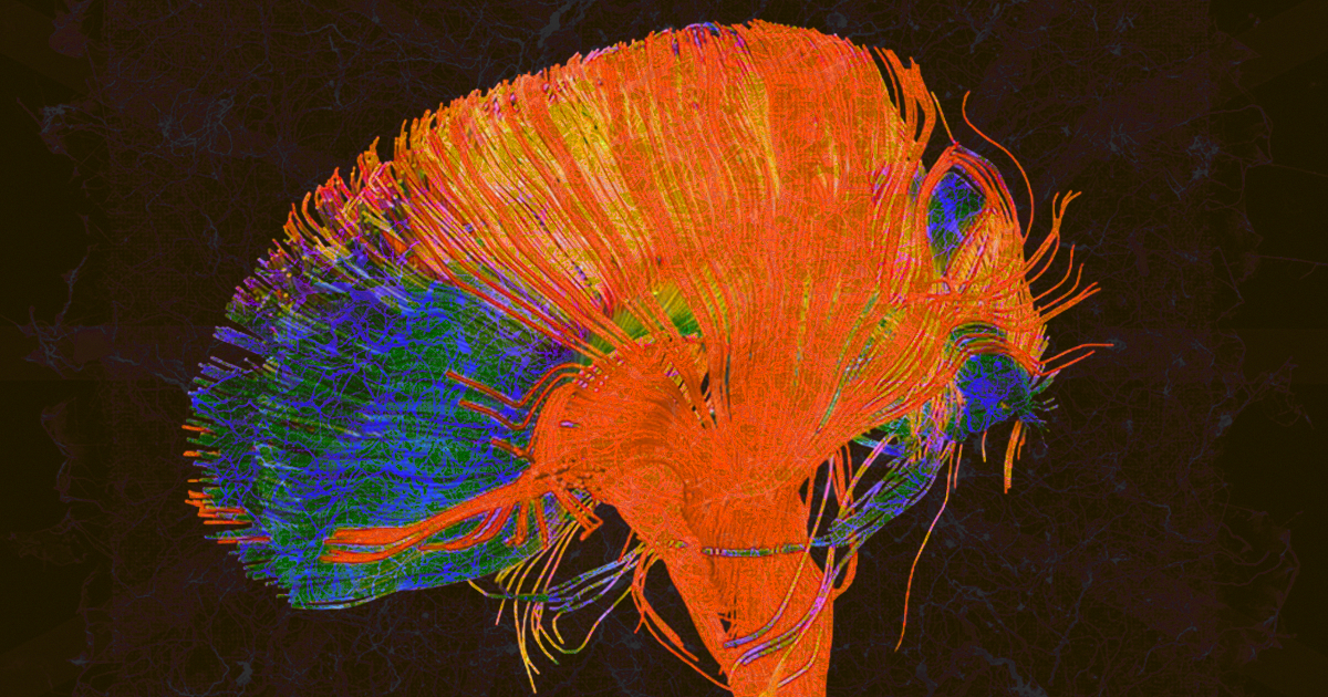 A self-assembling network of silver nanowires responds to electrical signals in a similar way to how the brain stores memories.