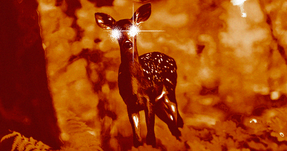 "Zombie deer disease" is spreading amongst animal populations, and experts are concerned it could make the leap to humans.