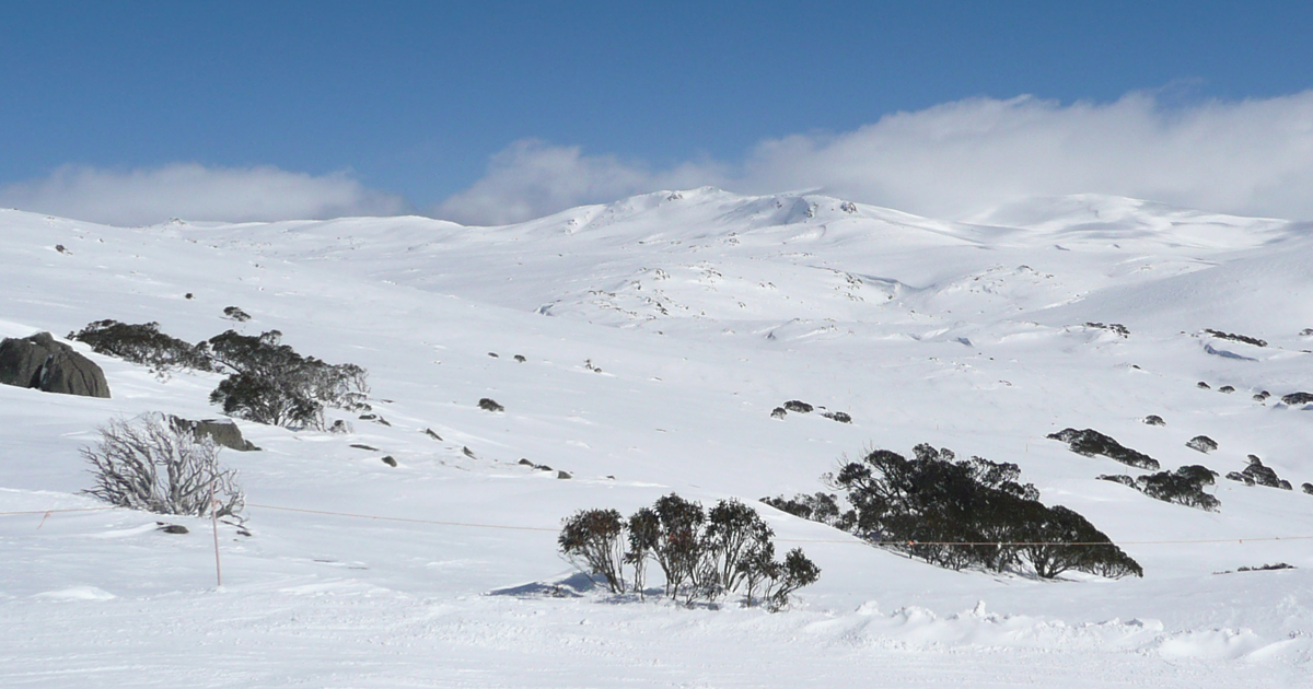 Researchers predict winter won't exist in Australia by 2050. Instead, Australians will experience three seasons: autumn, spring, and "new summer."