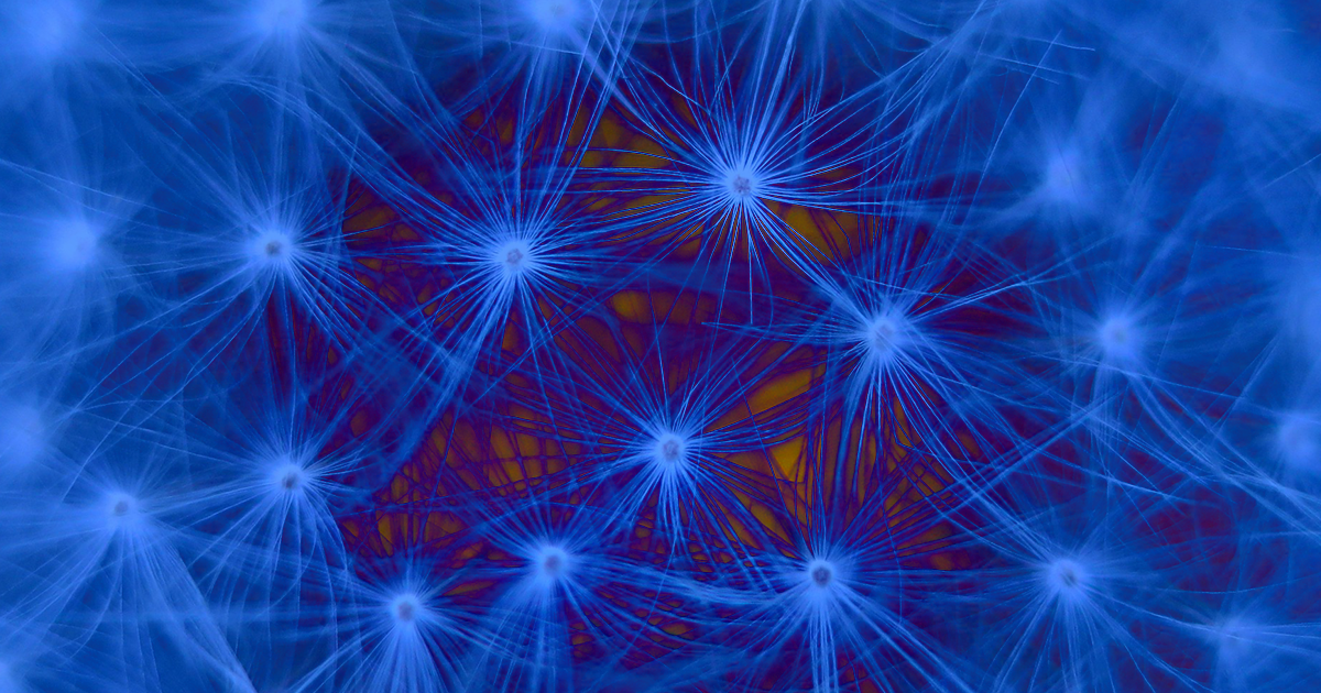 New research suggests that human brains continue to grow new neurons after birth, tipping the scales of a decades-long scientific debate.