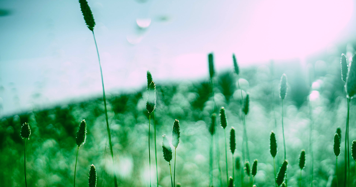 Climate change is affecting when the spring season starts, and as a result, more people are suffering from seasonal allergies, says study.