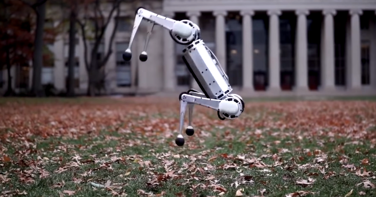 MIT's mini cheetah robot is the first four-legged bot to execute a perfect backflip — and watching it learn that skill is incredible entertaining.
