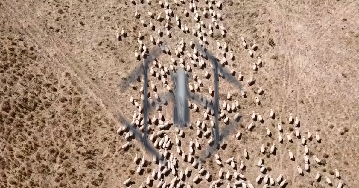 Farmers in New Zealand have a new tool to herd sheep and cows, according to Radio New Zealand: drones outfitted with speakers so they can bark like dogs.