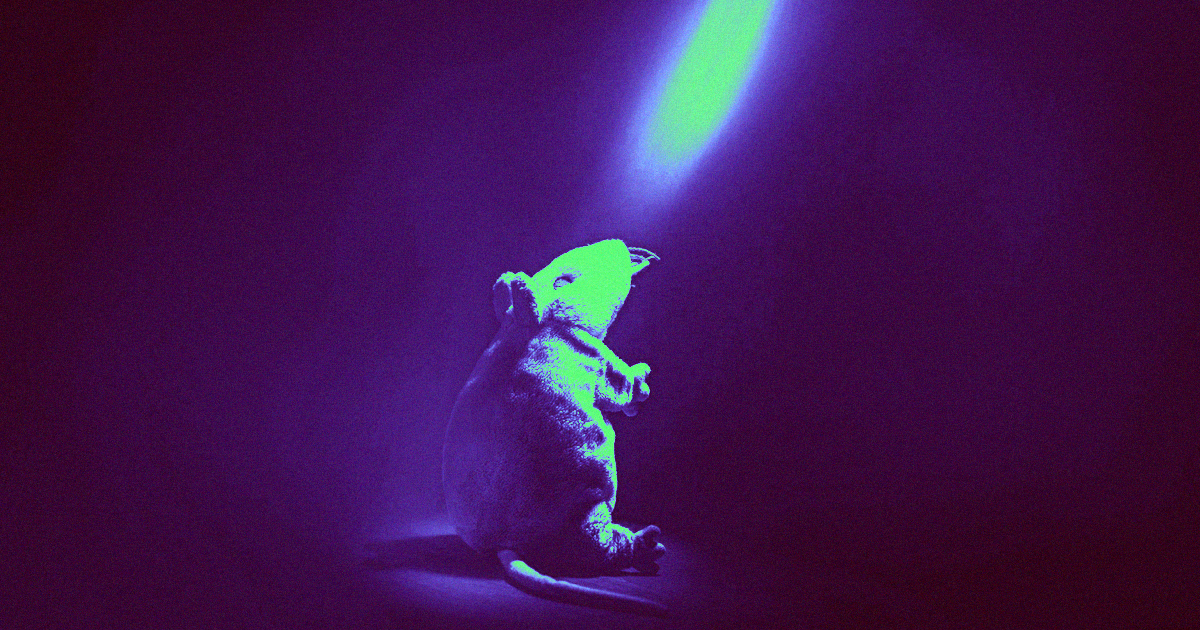 Scientists at Scripps Research say they've found a way to reverse rats' alcoholism by blasting particular neurons in their brains with lasers.