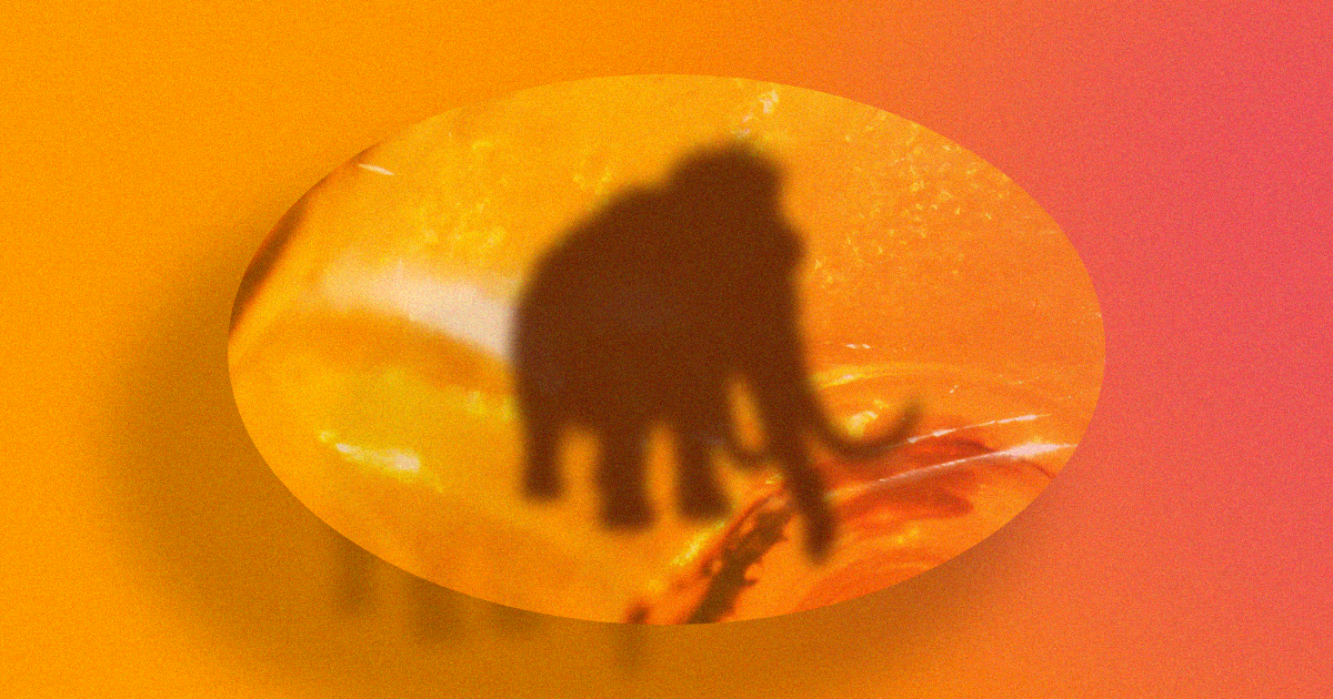 Researchers have coaxed biological reactions from the cells of a preserved wooly mammoth, putting us one step closer to cloning the extinct species.