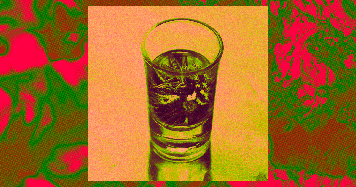 A German pharma company patented a process in which genetically modified tequila bacterium produce a range of cannabinoids by just feeding on sugar.